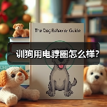训狗用电脖圈怎么样？（图2）