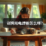 训狗用电脖圈怎么样？（图4）