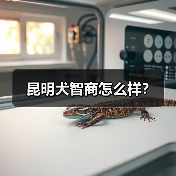 昆明犬智商怎么样？（图4）