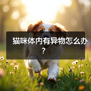 猫咪体内异物能否自行排出？手术是否必要？