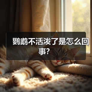 鹦鹉不活泼了是怎么回事？（图1）