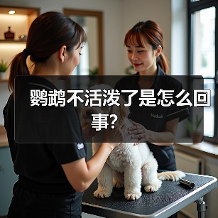 鹦鹉不活泼了是怎么回事？（图3）