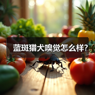 蓝斑猎犬嗅觉怎么样？（图4）