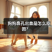 狗狗鼻孔出血是怎么原因？
