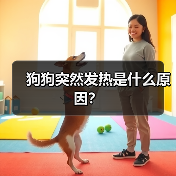 狗狗突然发热是什么原因？