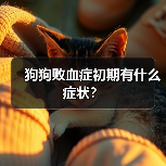 狗狗败血症初期有什么症状？