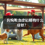 狗狗败血症初期有什么症状？（图3）