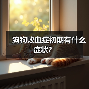 狗狗败血症初期有什么症状？（图4）