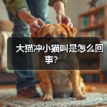 大猫冲小猫叫是怎么回事？（图4）
