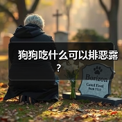 狗狗产后恶露排不净怎么办？益母草及炎症处理指南