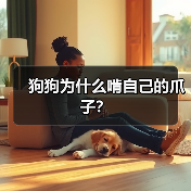 狗狗为什么啃自己的爪子？（图3）