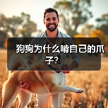 狗狗为什么啃自己的爪子？（图2）