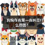 狗狗夜间叫唤原因及应对措施