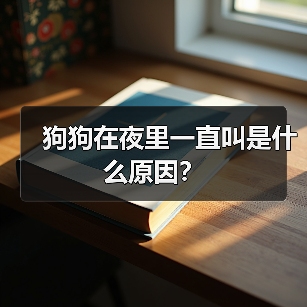 狗狗在夜里一直叫是什么原因？（图2）
