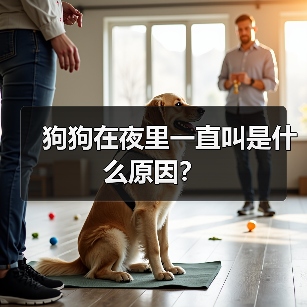 狗狗在夜里一直叫是什么原因？（图3）