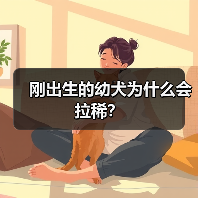 刚出生的幼犬为什么会拉稀？（图4）