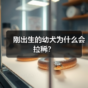 刚出生的幼犬为什么会拉稀？（图3）