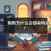 狗狗为什么会感染钩虫？（图3）