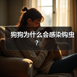 狗狗为什么会感染钩虫？（图2）