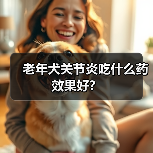 老年犬关节炎吃什么药效果好？（图4）