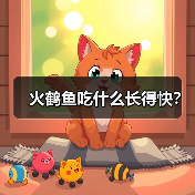 火鹤鱼吃什么长得快？（图4）
