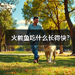火鹤鱼吃什么长得快？（图2）
