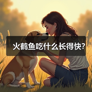 火鹤鱼吃什么长得快？（图3）