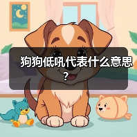 狗狗低吼代表什么意思？（图3）