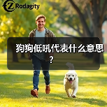 狗狗低吼代表什么意思？（图4）