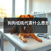 狗狗低吼代表什么意思？（图2）