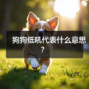 狗狗低吼原因解析：警告、恐惧、兴奋与吸引注意