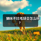 猫咪不吐毛球会怎么样？（图2）