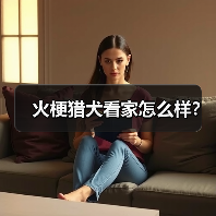 火梗猎犬看家怎么样？（图2）