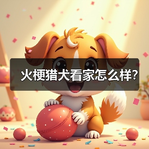 火梗猎犬看家表现优秀，警觉性强易训练