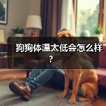 狗狗体温太低会怎么样？（图4）