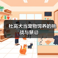 杜高犬当宠物饲养的挑战与禁忌（图3）