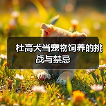 杜高犬当宠物饲养的挑战与禁忌（图2）