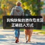 狗狗缺盐的潜在危害及正确摄入方式(图4) 狗狗缺盐的潜在危害及正确摄入方式(图4)