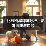 比熊断尾利弊分析：影响健康与沟通（图1）