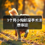 3个月小狗断尾手术注意事项（图1）