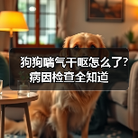 狗狗喘气干呕怎么了？病因检查全知道（图4）