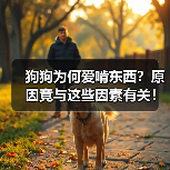 狗狗为何爱啃东西？原因竟与这些因素有关！（图2）