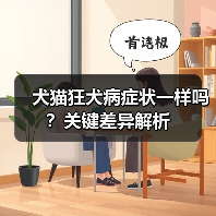犬猫狂犬病症状一样吗？关键差异解析（图2）
