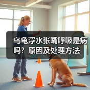 乌龟浮水张嘴呼吸是病吗？原因及处理方法（图1）