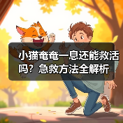 小猫奄奄一息还能救活吗？急救方法全解析（图1）