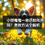 小猫奄奄一息还能救活吗？急救方法全解析（图3）