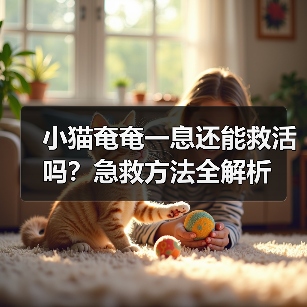 小猫奄奄一息还能救活吗？急救方法全解析（图2）