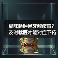 猫咪脸肿是牙龈瘘管？及时就医才能对症下药！（图4）