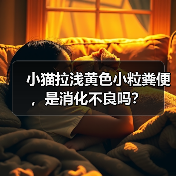 小猫拉浅黄色小粒粪便，是消化不良吗？（图3）