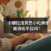 小猫拉浅黄色小粒粪便，是消化不良吗？（图2）